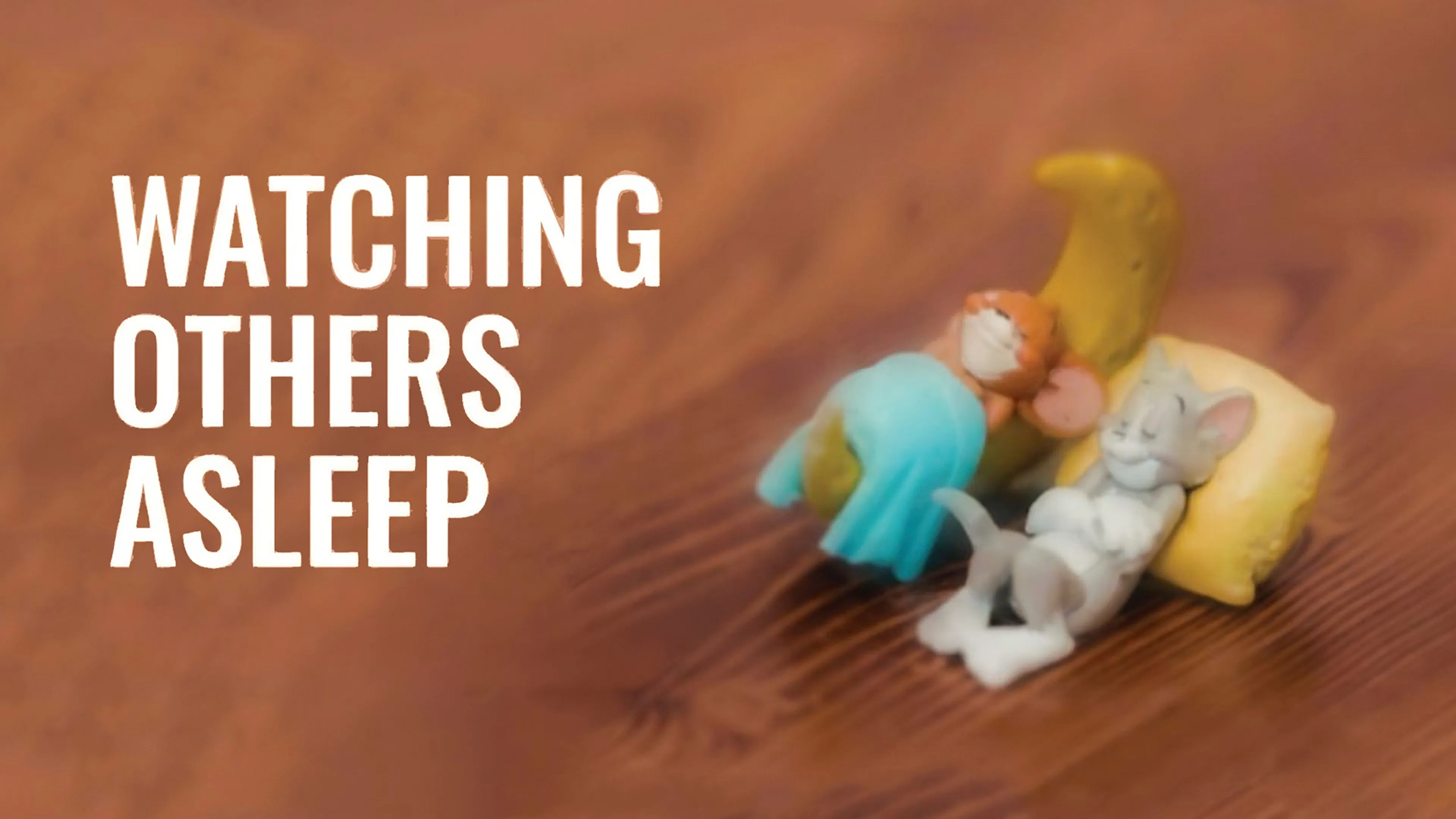 Watching Others Asleep poster